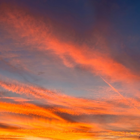 Meet your Posher, Debra - Picture 11 of 13